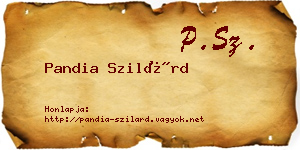 Pandia Szilárd névjegykártya
